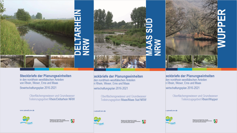 Es sind die drei Titelseiten der Planungseinheiten-Steckbriefe Deltarhein NRW, Maas Süd und Wupper abgebildet.