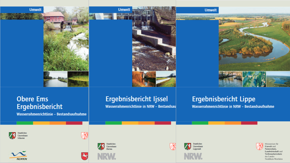 Es sind drei Titelseiten der Ergebnisberichte zur Bestandsaufnahme von Obere Ems, Ijssel und Lippe abgebildet.