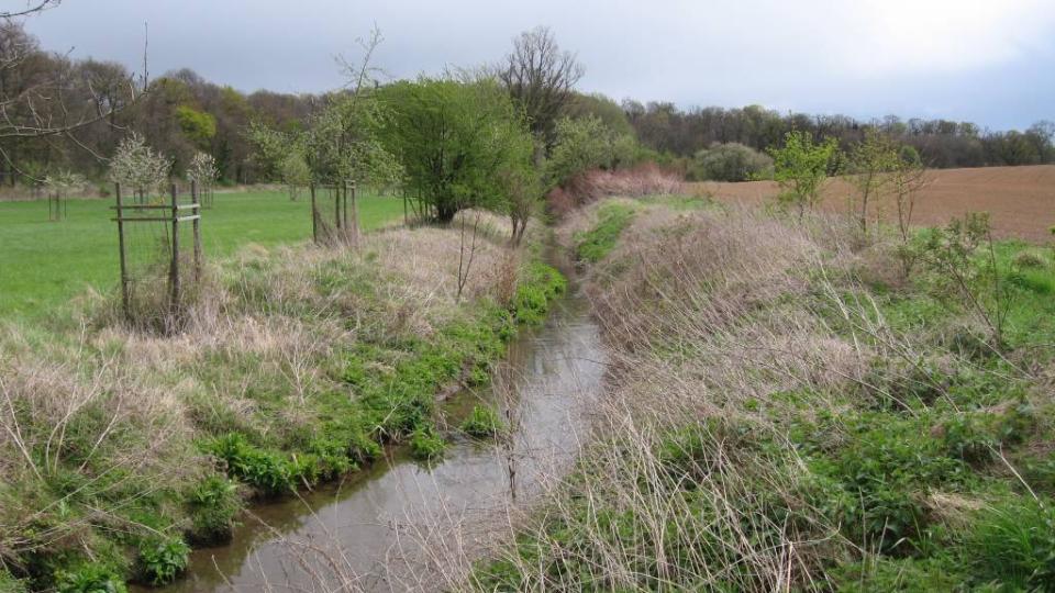 Das Foto zeigt einen kleinen Bach dessen linkes Ufer mit kleinen Bäumen bepflanzt ist. Beidseits des Gewässers befindet sich ein Grünstreifen mit niedrigem Bewuchs, daran schließen Felder an.